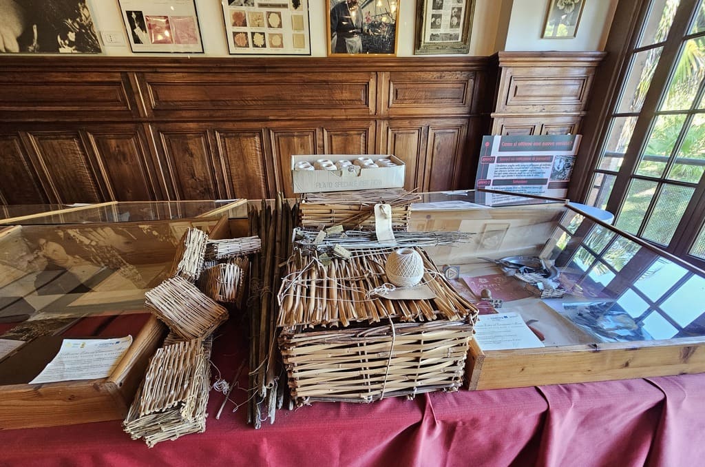 Le collezioni in mostra all’interno del Floriseum, a Sanremo