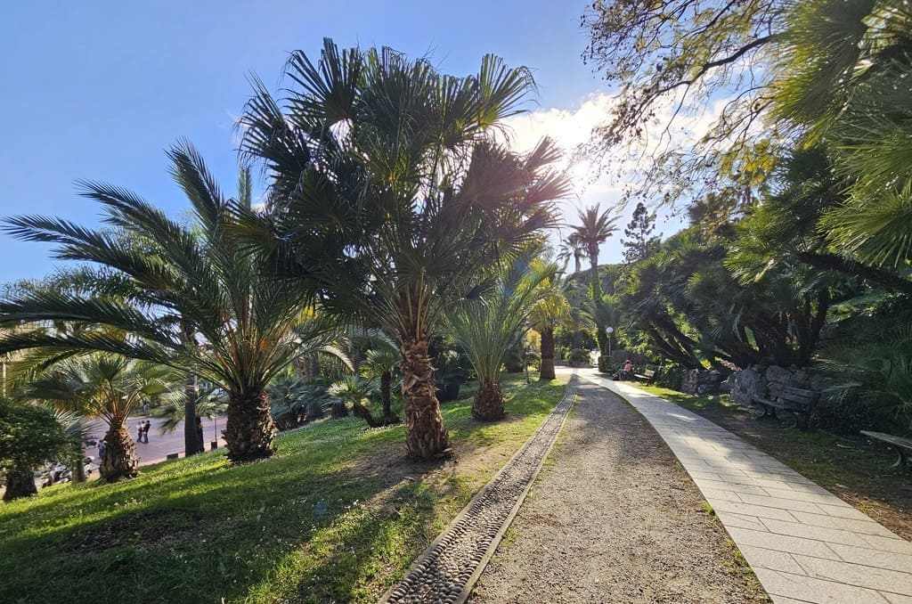 Viale e palme del parco di Villa Ormond a Sanremo